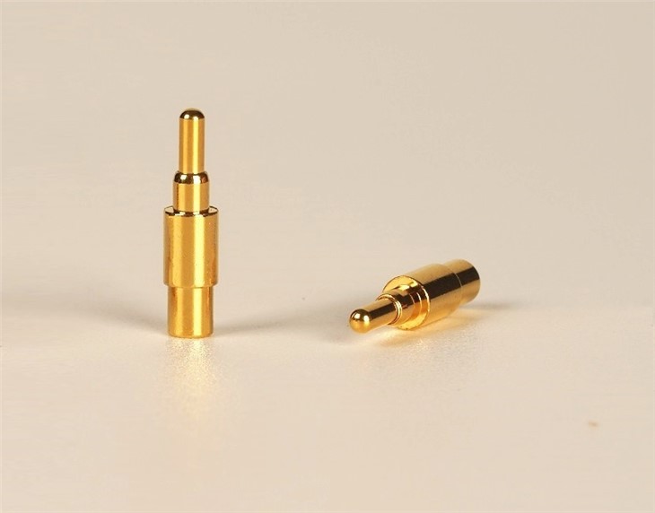 Joriy bahor yuklangan pin