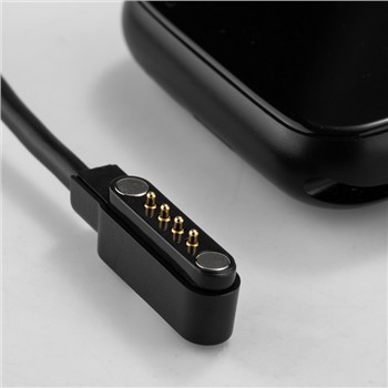 4Pinli Magnit Pogo Pinli ulagich